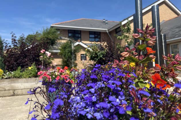 flowers in foreground with hospice in background